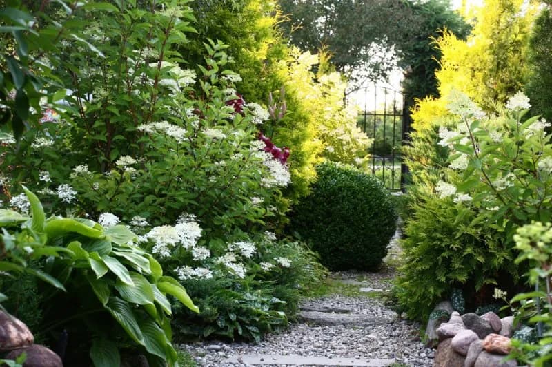 Kwiaty na działkę rekreacyjną: Piękne i bezobsługowe? To możliwe!