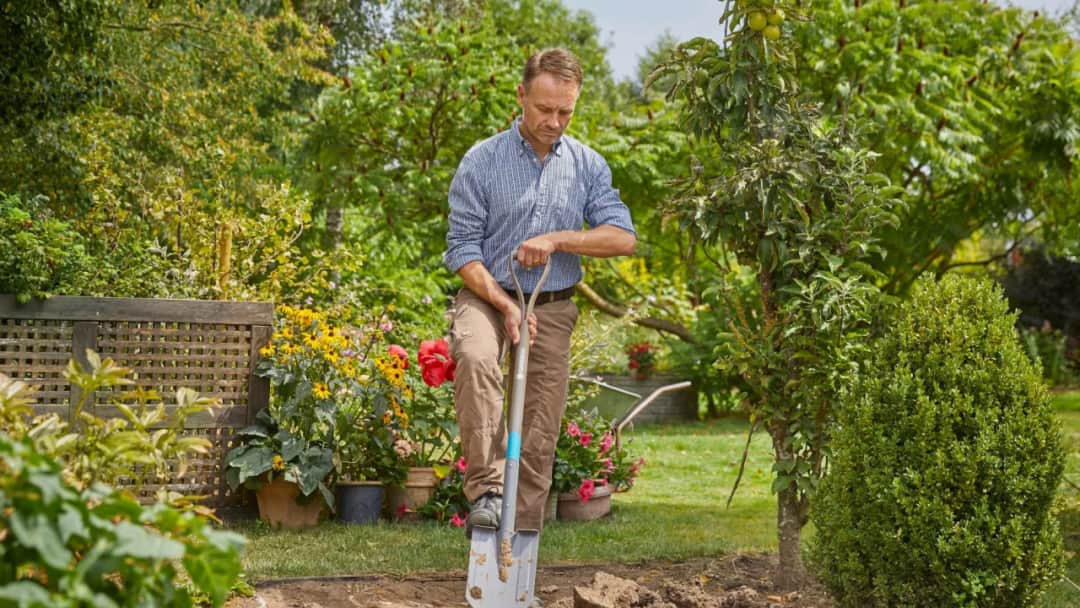 Urządzanie działki od zera: Przewodnik po formalnościach i inspiracjach