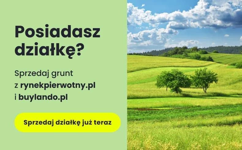 Jak odrolnić działkę pod dom? Uniknij błędów, poznaj koszty i WZ